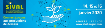 Salon sival 2020
